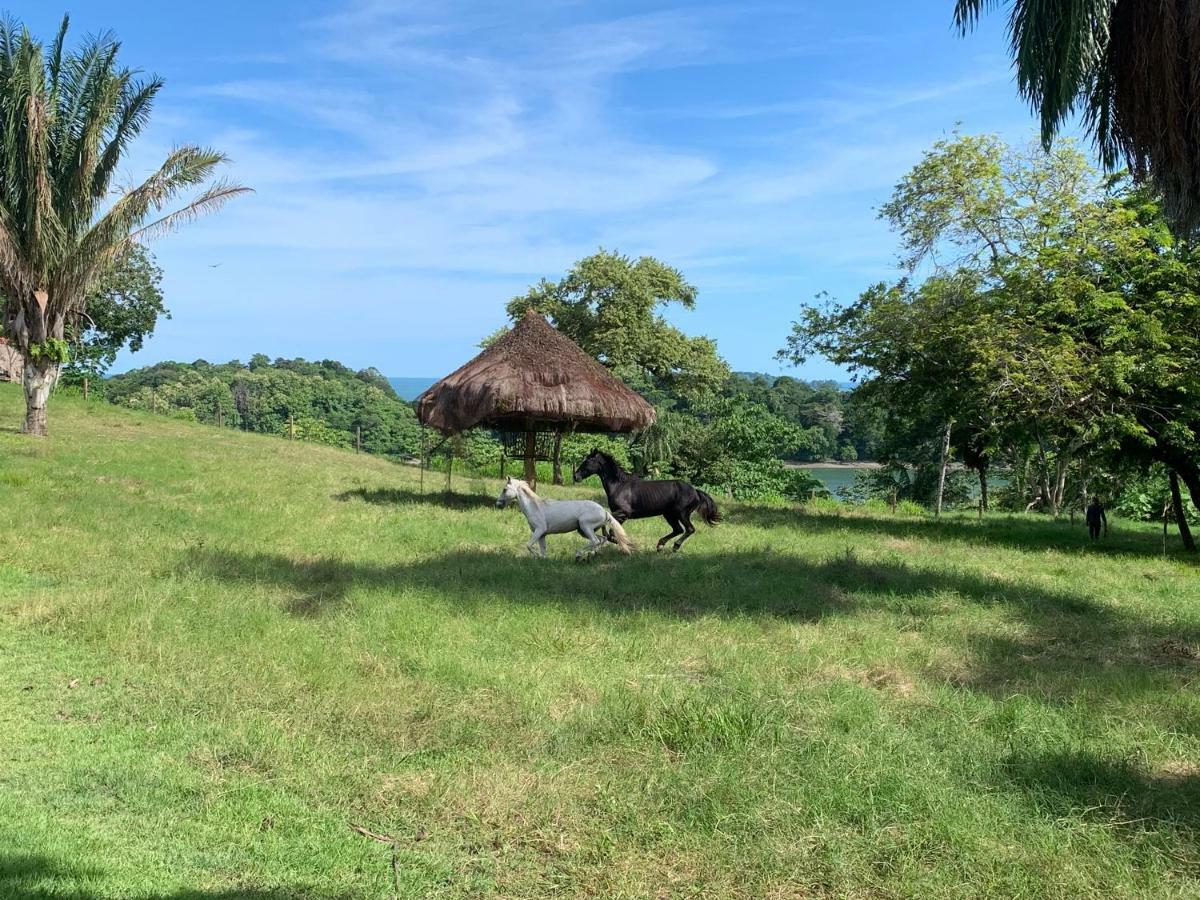 Boca Brava Paradise Acomodação com café da manhã Boca Chica Exterior foto