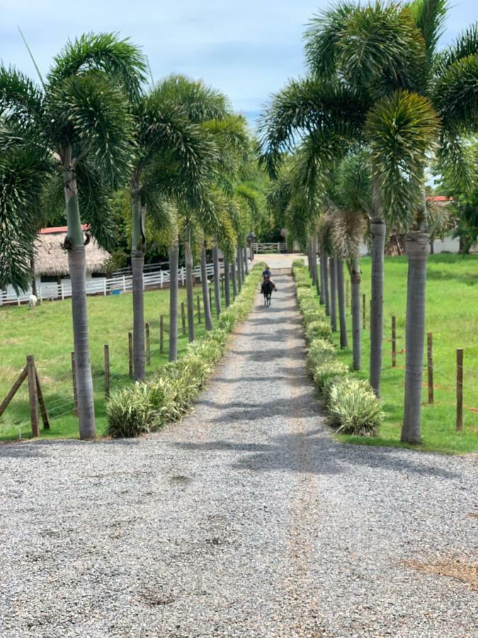 Boca Brava Paradise Acomodação com café da manhã Boca Chica Exterior foto